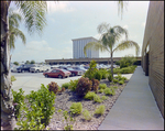 Bay Plaza Storefronts and Parking Lot, Tampa, Florida, E by Skip Gandy