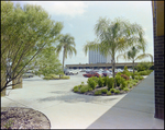 Bay Plaza Storefronts and Parking Lot, Tampa, Florida, F by Skip Gandy