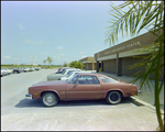 Classic Furnishings Center, Bay Plaza, Tampa, Florida by Skip Gandy