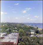 View From the Roof of the Bayshore Royal Hotel, Tampa, Florida, A by Skip Gandy