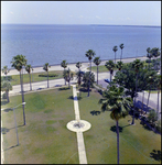 View From the Roof of the Bayshore Royal Hotel, Tampa, Florida, B by Skip Gandy