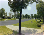 Steet Scene in Beverly Hills Neighborhood, Beverly Hills, Florida, Q by Skip Gandy