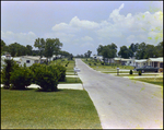 Steet Scene in Beverly Hills Neighborhood, Beverly Hills, Florida, S by Skip Gandy