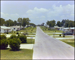 Steet Scene in Beverly Hills Neighborhood, Beverly Hills, Florida, U by Skip Gandy