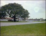 Beverly Plaza Shopping, Beverly Hills, Florida, C by Skip Gandy