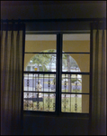 Front Window View from Beverly Hills Home, Beverly Hills, Florida by Skip Gandy