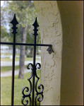 Gate Detail on Beverly Hills Home, Beverly Hills, Florida, A by Skip Gandy