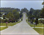 Steet Scene in Beverly Hills Neighborhood, Beverly Hills, Florida, X by Skip Gandy