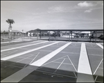 Shuffleboard Court