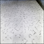 White Square Tile Flooring with Brush Stroke Pattern, B by Skip Gandy