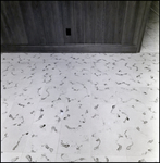 White Square Tile Flooring with Brush Stroke Pattern, C by Skip Gandy