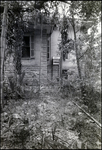 Windows on Side of Vacant Biglow-Helms Mansion in Tampa, Florida, A by Skip Gandy