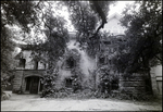 Back of Vacant Biglow-Helms Mansion in Tampa, Florida, B by Skip Gandy