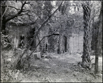 Carriage House Outside Vacant Biglow-Helms Mansion in Tampa, Florida, B by Skip Gandy