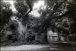 Back of Vacant Biglow-Helms Mansion in Tampa, Florida, C by Skip Gandy