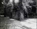 Carriage House Outside Vacant Biglow-Helms Mansion in Tampa, Florida, E by Skip Gandy