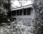 Backyard Area with Small Overgrown Pond at Vacant Biglow-Helms Mansion in Tampa, Florida, B by Skip Gandy