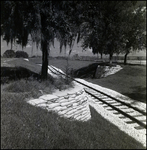 Two Trees Surrounded with Sandbags by Trans-Veldt Railway Tracks at Busch Gardens in Tampa, Florida, A by Skip Gandy