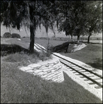 Two Trees Surrounded with Sandbags by Trans-Veldt Railway Tracks at Busch Gardens in Tampa, Florida, B by Skip Gandy