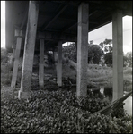 Under a Beam Bridge in Tampa, Florida, C by Skip Gandy