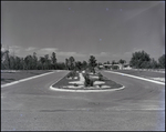 Landscaped Median in Briarwood Development, Tampa, Florida by Skip Gandy