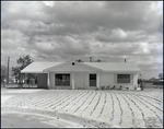 Newly Developed Home in Briarwood Neighborhood, Tampa, Florida, A by Skip Gandy