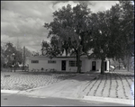 Newly Developed Home in Briarwood Neighborhood, Tampa, Florida, C by Skip Gandy