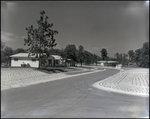 19th Street Intersection in Briarwood Neighborhood, Tampa, Florida, A by Skip Gandy