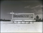 Briarwood Neighborhood Billboard in Tampa, Florida by Skip Gandy