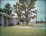 Houses on Corner in Briarwood Neighborhood in Tampa, Florida, B by Skip Gandy