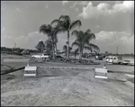 Road Development in Winston Park, Tampa, Florida by George Skip Gandy IV