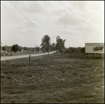 Cars Driving Down Single-Lane Road, Tampa, Florida, B by George Skip Gandy IV