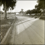 Developing Road in a Developing Neighborhood, Tampa, Florida, A by George Skip Gandy IV