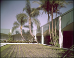 Plaza in Curtis Hixon Hall, Tampa, Florida, B by George Skip Gandy IV