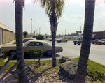 Parking Lot and Building at Tampa College Learning Center, Tampa, Florida, C by George Skip Gandy IV