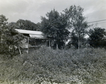 Overgrown Lot Near Andres Diaz Building, Tampa, Florida by George Skip Gandy IV