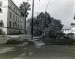 Side of Andres Diaz Building, Tampa, Florida, B by George Skip Gandy IV