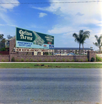 Carlton Arms Apartments of Egypt Lake, Tampa, Florida, A by George Skip Gandy IV