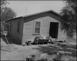 Homes in Scrub Community, Tampa, Florida, A by George Skip Gandy IV