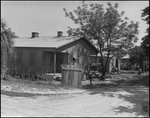 Homes in Scrub Community, Tampa, Florida, B by George Skip Gandy IV