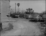 Automobiles Parked Near the Scrub Community, Tampa, Florida by George Skip Gandy IV