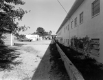 Side Entrance of Colonial Manor Nursing Home, St. Petersburg, Florida, A by George Skip Gandy IV