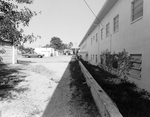 Side Entrance of Colonial Manor Nursing Home, St. Petersburg, Florida, C by George Skip Gandy IV