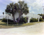 Corner of North Raymond Street and North Meridian Avenue, Tampa Florida, A by George Skip Gandy IV