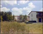 Landscape View of Heritage Cove Apartments, Tampa, Florida by George Skip Gandy IV