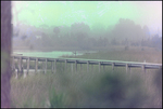 Wooden Boardwalk through Wetlands, Tampa, Florida by George Skip Gandy IV