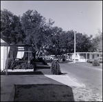 Chalet Village Mobile Home Park Street View, Tampa, Florida, B by George Skip Gandy IV