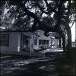 Mobile Homes in Chalet Village Mobile Home Park, Tampa, Florida, B by George Skip Gandy IV