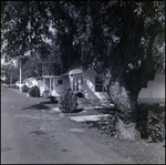 Street in Chalet Village Mobile Home Park, Tampa, Florida, C by George Skip Gandy IV