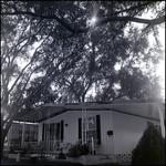 Mobile Home and Oak Trees in Chalet Village Mobile Home Park, Tampa, Florida, B by George Skip Gandy IV